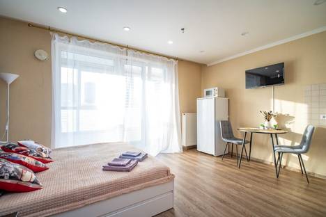 1-комнатная квартира в Новосибирске, ул. Немировича-Данченко, 148/2, А