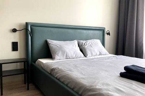 1-комнатная квартира в Санкт-Петербурге, пр-кт Энергетиков, 8к2