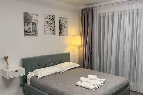 1-комнатная квартира в Санкт-Петербурге, Дальневосточный пр-кт, 23