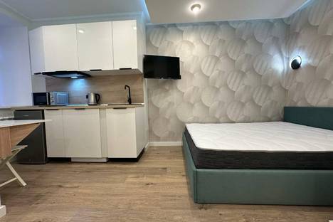 Однокомнатная квартира в аренду посуточно в Санкт-Петербурге по адресу пер. Пирогова, 17