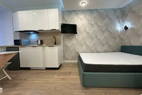 1-комнатная квартира в Санкт-Петербурге, пер. Пирогова, 17