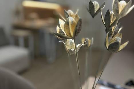 1-комнатная квартира в Иркутске, Иркутск, ул. Набережная Иркута, 23