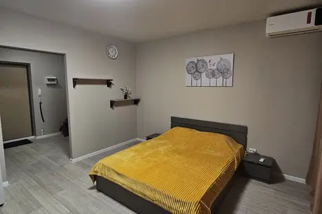 1-комнатная квартира в Набережных Челнах, Набережные Челны, ул. Раскольникова, 5В