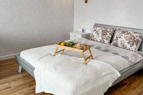 Однокомнатная квартира в аренду посуточно в Йошкар-Оле по адресу Советская ул., 173