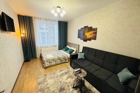 1-комнатная квартира в Красноярске, Свободный пр-кт, 66Рк1