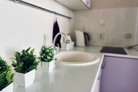 1-комнатная квартира в Новой Усмани, Полевая ул., 36Б