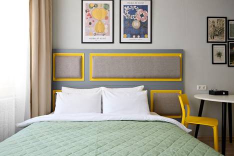 1-комнатная квартира в Санкт-Петербурге, Английский пр-кт, 22