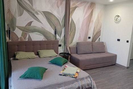 1-комнатная квартира в Благовещенске, ул. Островского, 116