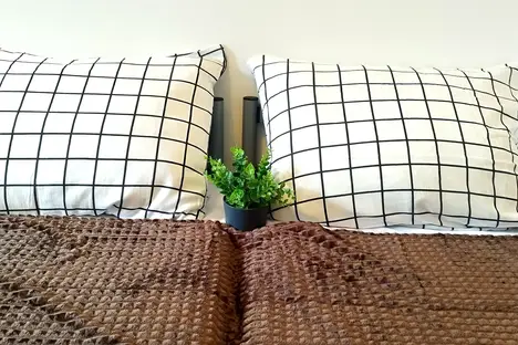 1-комнатная квартира в Сочи, Сочи, Курортный пр-кт, 75к1