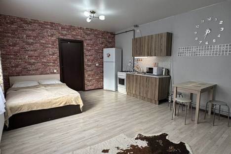 Однокомнатная квартира в аренду посуточно в Санкт-Петербурге по адресу Озерковский пр-кт, 16