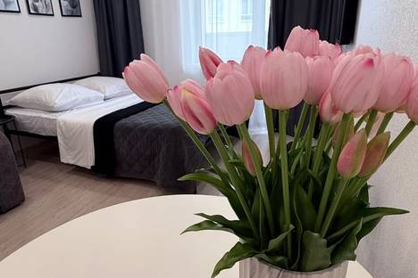 1-комнатная квартира в Ульяновске, ул. Александра Невского, 4Ак1