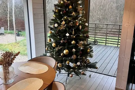 Дом в Тульской области, Тульская область, Садовая ул., 111