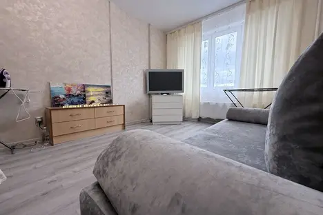 1-комнатная квартира в Воронеже, Краснознамённая ул., 57/5