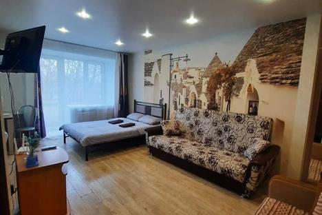 Однокомнатная квартира в аренду посуточно в Краснокамске по адресу ул. Карла Либкнехта, 19