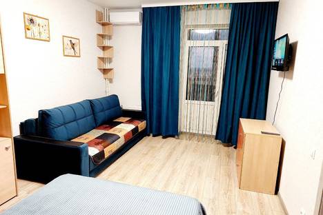 Однокомнатная квартира в аренду посуточно в Воронеже по адресу ул. Полковника Богомолова, 5