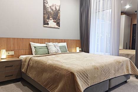 1-комнатная квартира в Красной Поляне, Ачишховская ул., 10