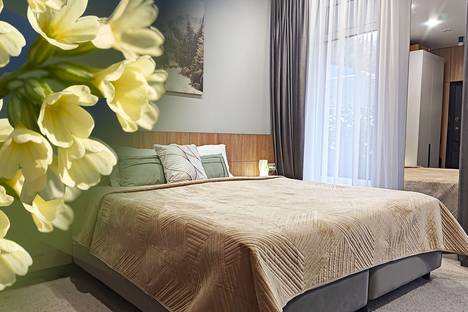 Однокомнатная квартира в аренду посуточно в Красной Поляне по адресу Ачишховская ул., 10