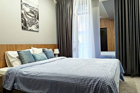 1-комнатная квартира в Красной Поляне, Ачишховская ул., 10