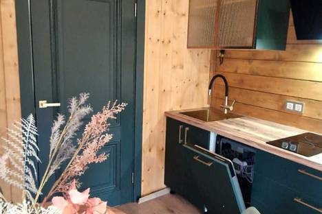 Дом в аренду посуточно в Московской области по адресу Дмитровский муниципальный округ, КП Ольшаны, 162