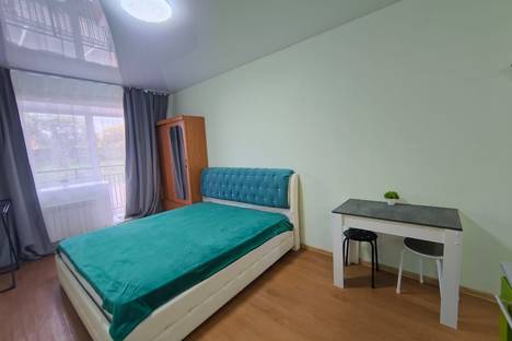 Однокомнатная квартира в аренду посуточно в Хабаровске по адресу Алексеевская ул., 64