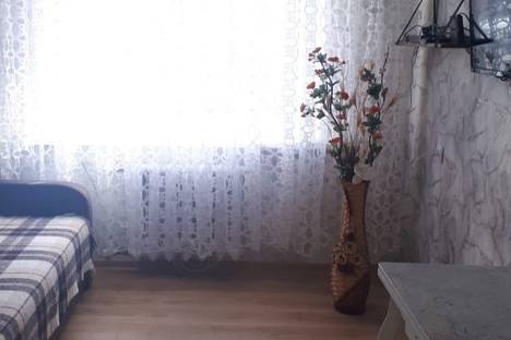 Однокомнатная квартира в аренду посуточно в Янтарном по адресу Почтовый пер., 2