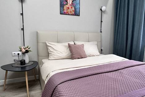 1-комнатная квартира в Калининграде, Пригородная ул., 13к2