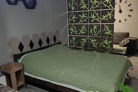 1-комнатная квартира в Донецке, Донецк, ул. 50-летия СССР, 101