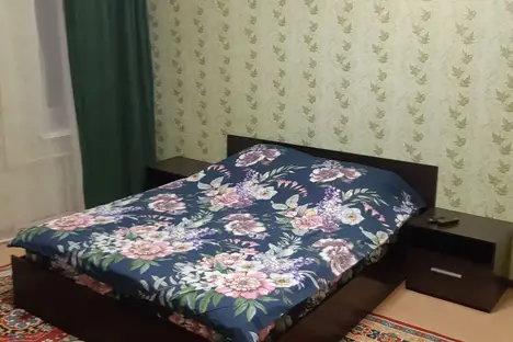 1-комнатная квартира в Нижнем Новгороде, ул. Чкалова, 7