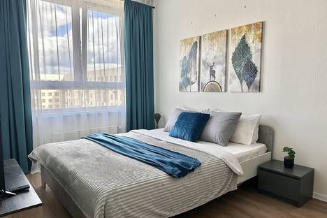 Однокомнатная квартира в аренду посуточно в Московской области по адресу г.о. Люберцы, пгт. Мирный, ул. Академика Северина, 13