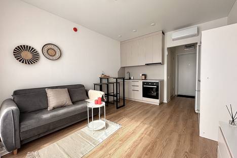 Однокомнатная квартира в аренду посуточно в Люберцах по адресу ул. Лётчика Ларюшина, 2