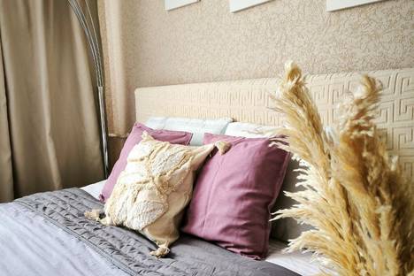 Однокомнатная квартира в аренду посуточно в Воронеже по адресу ул. 45-й Стрелковой Дивизии, 259/7