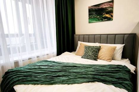 Однокомнатная квартира в аренду посуточно в Воронеже по адресу ул. Лётчика Колесниченко, 67