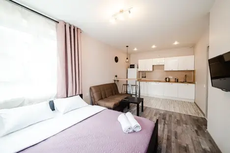 1-комнатная квартира в Лыткарине, ул. Ленина, 12