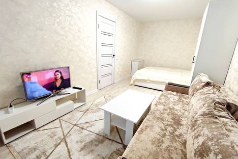 Однокомнатная квартира в аренду посуточно в Нижнем Новгороде по адресу пр-кт Гагарина, 48