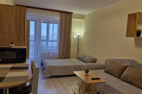 1-комнатная квартира в Старой Купавне, ул. Чехова, 4