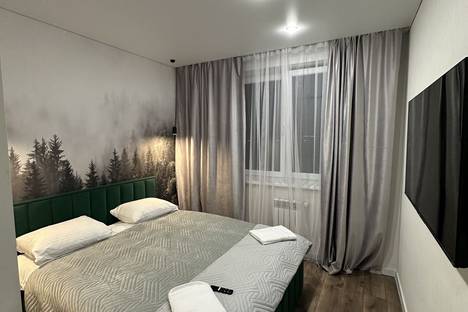 1-комнатная квартира в Пионерском, ул. Гептнера, 17