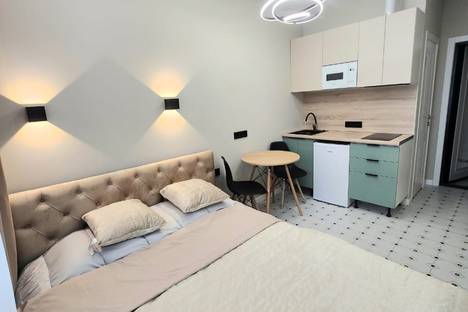 1-комнатная квартира в Москве, Берёзовая ал., 8с1