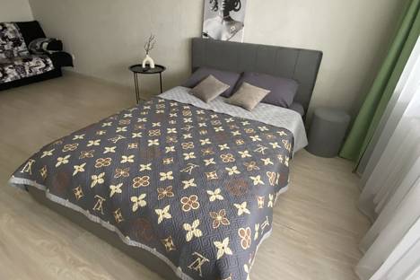 1-комнатная квартира в Арсеньеве, Арсеньев, ул. Жуковского, 19