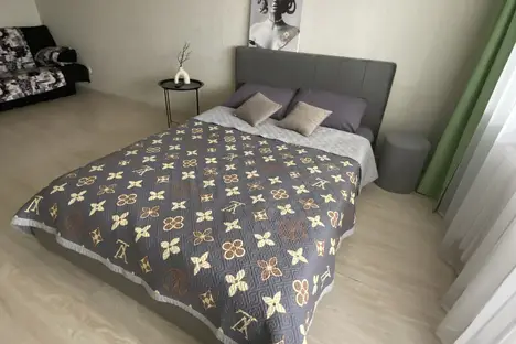 1-комнатная квартира в Арсеньеве, ул. Жуковского, 19