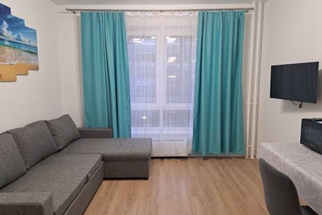 1-комнатная квартира в Одинцово, Берёзовая ул., 4к1