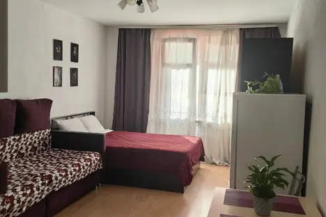 1-комнатная квартира в Санкт-Петербурге, пр-кт Энергетиков, 9к1