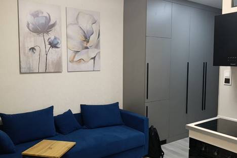 1-комнатная квартира в Минске, ул. Жореса Алфёрова, 5