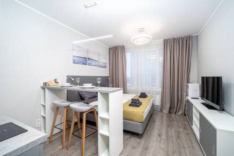 Однокомнатная квартира в аренду посуточно в Санкт-Петербурге по адресу Витебский пр-кт, 101к1