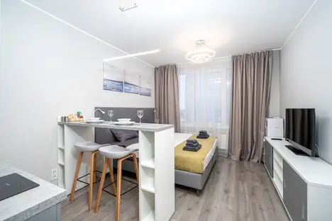 1-комнатная квартира в Санкт-Петербурге, Витебский пр-кт, 101к1