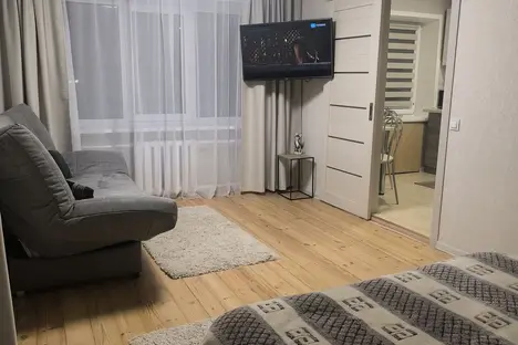 1-комнатная квартира в Минске, пер. Калинина, 3