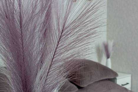 Однокомнатная квартира в аренду посуточно в Саранске по адресу ул. Тавлинская Набережная, 1