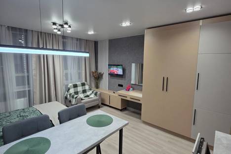 1-комнатная квартира в Екатеринбурге, ул. Репина, 109