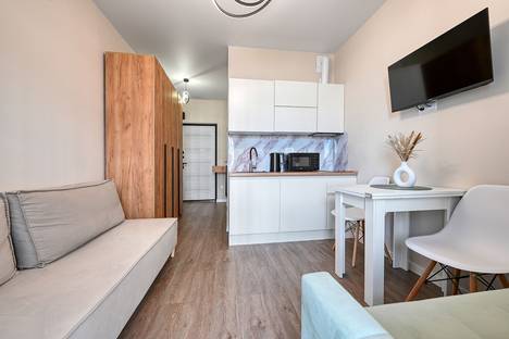 1-комнатная квартира в Сочи, Сочи, мкр. Бытха, Ясногорская ул., 16/2к11