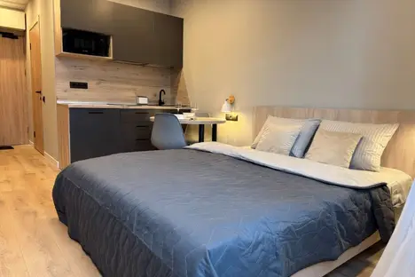 1-комнатная квартира в Санкт-Петербурге, пр-кт Энергетиков, 2к2