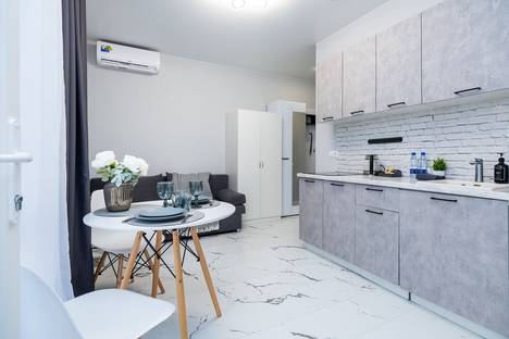 Однокомнатная квартира в аренду посуточно в Сочи по адресу ул. Яна Фабрициуса, 64/3